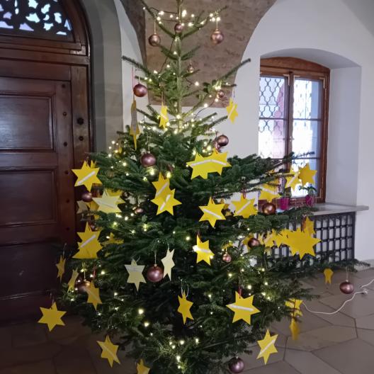 Wunsch-Sternenbaum im Neustädter Rathaus