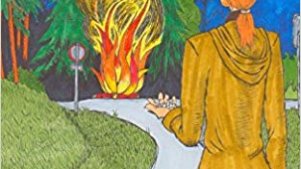 Titelbild Neustadtkrimi Feiersbrunst