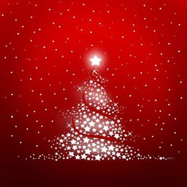 Wunsch-Sternenbaum-Titelbild