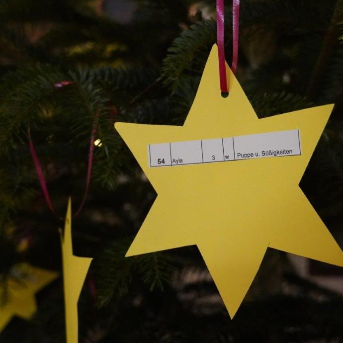 Wunsch-Sternenbaum25-02(c)FWZ